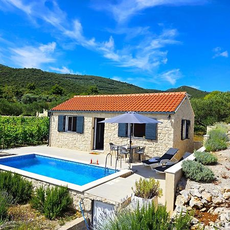 Stone House In Vineyard Villa Račišće Kültér fotó