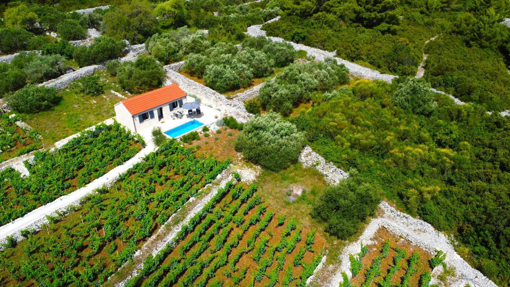 Stone House In Vineyard Villa Račišće Kültér fotó
